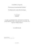 Utjecaj inhibitora sinteze stanične stijenke kvasca Saccharomyces cerevisiae na njenu poroznost