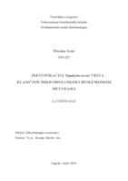 Identifikacija Staphylococcus vrsta klasičnim mikrobiološkim i biokemijskim metodama