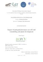 Impact of polygalacturonases on cell wall remodeling and plant development