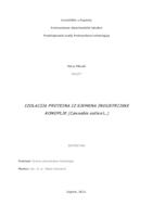 Izolacija proteina iz sjemena industrijske konoplje (Cannabis sativa L.)