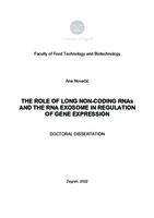 The role of long non-coding RNAs and the RNA exosome in regulation of gene expression