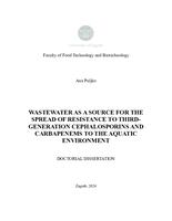 Wastewater as a source for the spread of resistance to third-generation cephalosporins and carbapenems to the aquatic environment