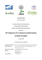 Razvoj tranzijentnoj transformacijske metode u topoli