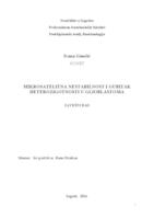 Mikrosatelitna nestabilnost i gubitak heterozigotnosti u glioblastoma