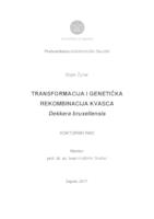 prikaz prve stranice dokumenta Transformacija i genetička rekombinacija kvasca Dekkera bruxellensis