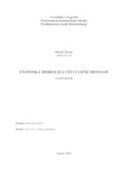 prikaz prve stranice dokumenta Enzimska hidroliza celulozne biomase