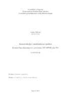 prikaz prve stranice dokumenta Konstrukcija i molekularna analiza soja kvasca Saccharomyces cerevisiae FF OPO8 yku70delta