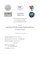 prikaz prve stranice dokumenta Expression of cFLIPS: disulfure bridges and activity